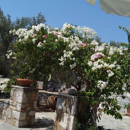 Charouda Stone Tower Xenonas Daire Pírgos Dhiroú Dış mekan fotoğraf