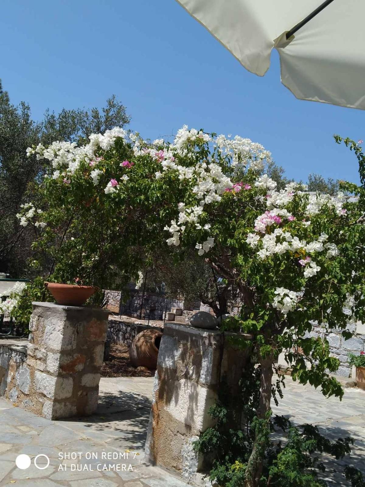 Charouda Stone Tower Xenonas Daire Pírgos Dhiroú Dış mekan fotoğraf